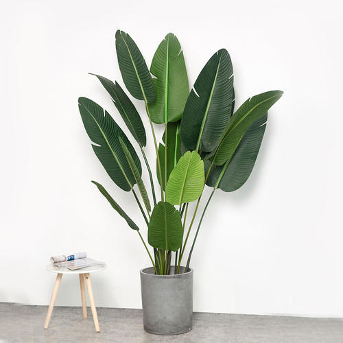 广州展会上常见的花草绿植装饰有哪些种类